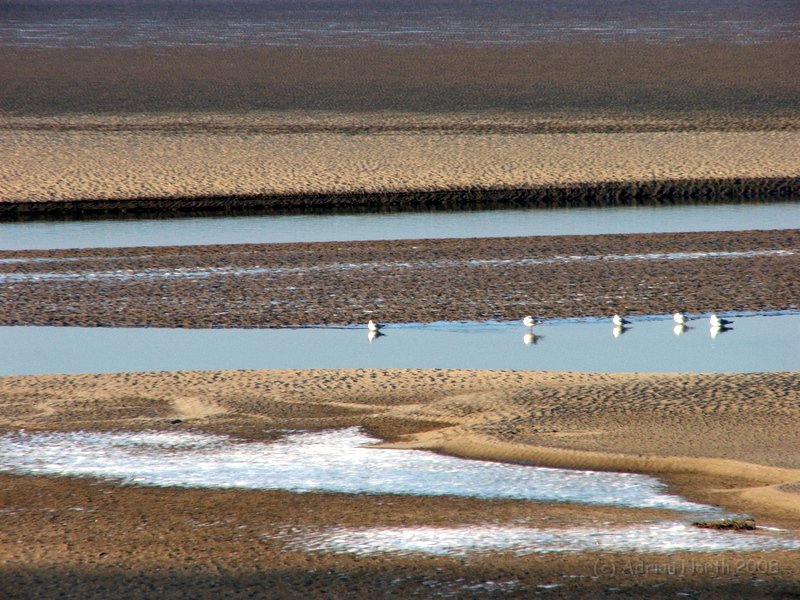 DSCF5741.JPG - Birds on a frozen Kent estuary