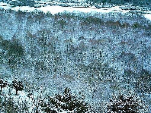 Lyth.jpg - The Lyth Valley on Christmas Day